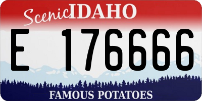 ID license plate E176666