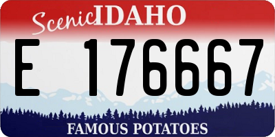 ID license plate E176667