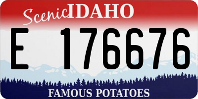 ID license plate E176676