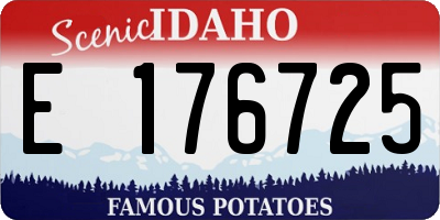 ID license plate E176725