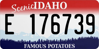ID license plate E176739