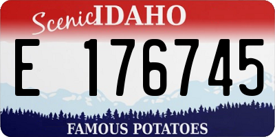 ID license plate E176745