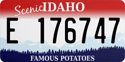 ID license plate E176747