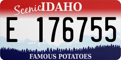 ID license plate E176755