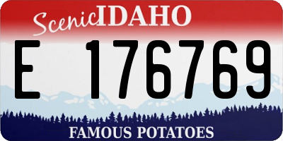 ID license plate E176769