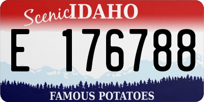 ID license plate E176788