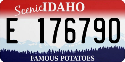 ID license plate E176790
