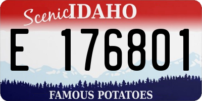 ID license plate E176801