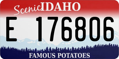 ID license plate E176806