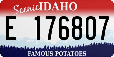 ID license plate E176807