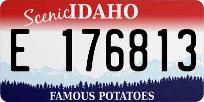 ID license plate E176813