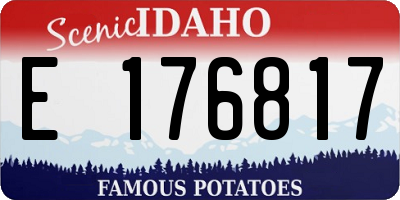 ID license plate E176817