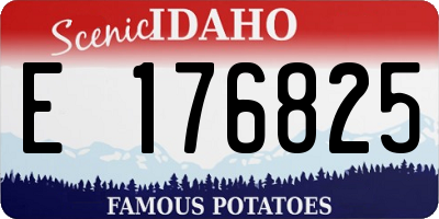 ID license plate E176825