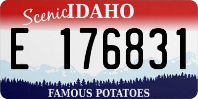 ID license plate E176831