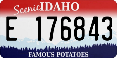 ID license plate E176843