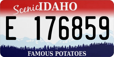 ID license plate E176859