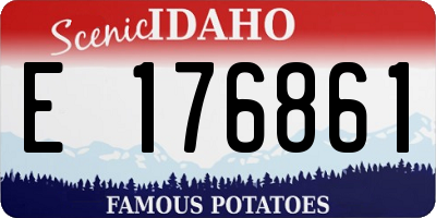 ID license plate E176861