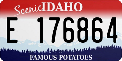 ID license plate E176864