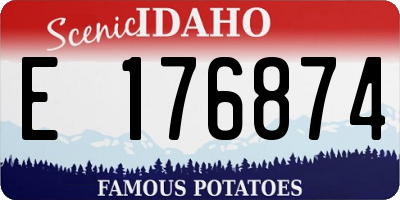 ID license plate E176874