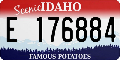 ID license plate E176884