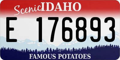 ID license plate E176893