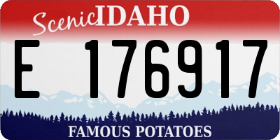 ID license plate E176917