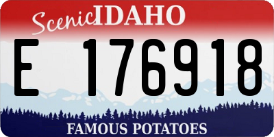 ID license plate E176918