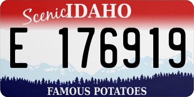ID license plate E176919