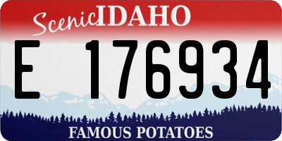 ID license plate E176934