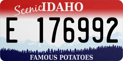 ID license plate E176992