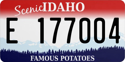ID license plate E177004