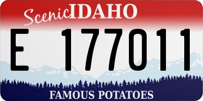 ID license plate E177011