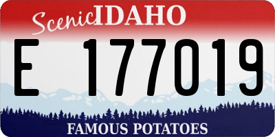 ID license plate E177019