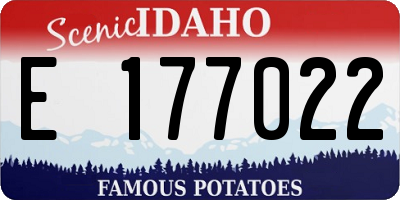 ID license plate E177022