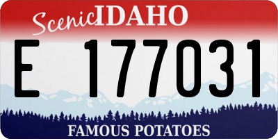 ID license plate E177031