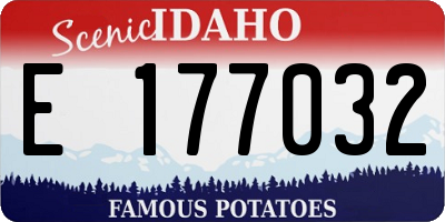 ID license plate E177032