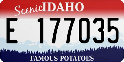 ID license plate E177035