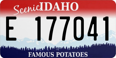 ID license plate E177041