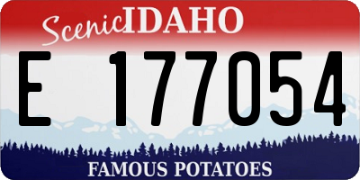 ID license plate E177054