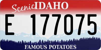 ID license plate E177075