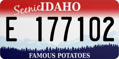 ID license plate E177102