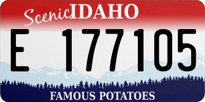 ID license plate E177105