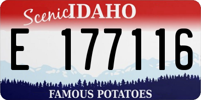 ID license plate E177116
