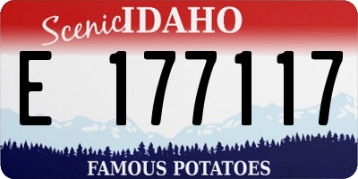 ID license plate E177117