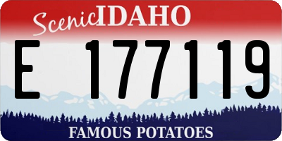 ID license plate E177119