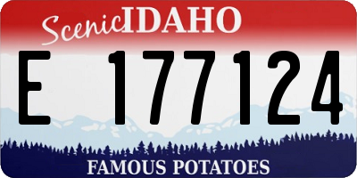 ID license plate E177124