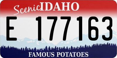 ID license plate E177163