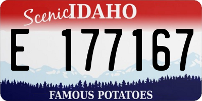 ID license plate E177167