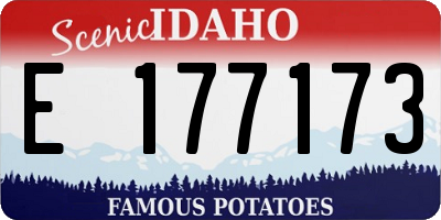 ID license plate E177173