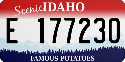 ID license plate E177230